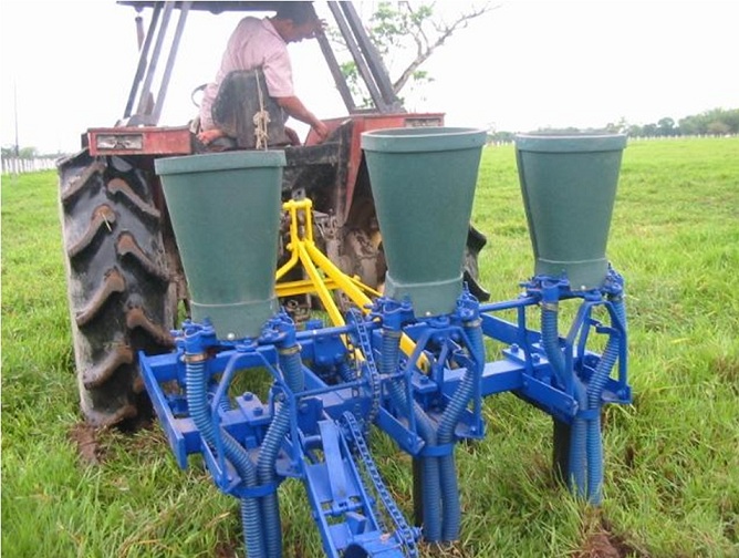 contenedores para postcosecha contendor plegable para recoger cosechas postcosecha cultivos frutas verduras flores alimentos contenedores de trasporte almacenamiento apilables plegables cajon 1 contenedores para postcosecha contendor plegable para recoger cosechas contenedores para postcosecha contendor plegable para recoger cosechas postcosecha cultivos frutas verduras flores alimentos contenedores de trasporte almacenamiento apilables plegables cajon 1 contenedores para postcosecha contendor plegable para recoger cosechas postcosecha cultivos frutas verduras flores alimentos contenedores de trasporte almacenamiento apilables plegables cajon 1 postcosecha cultivos frutas verduras flores alimentos contenedores de trasporte almacenamiento apilables plegables cajon 1